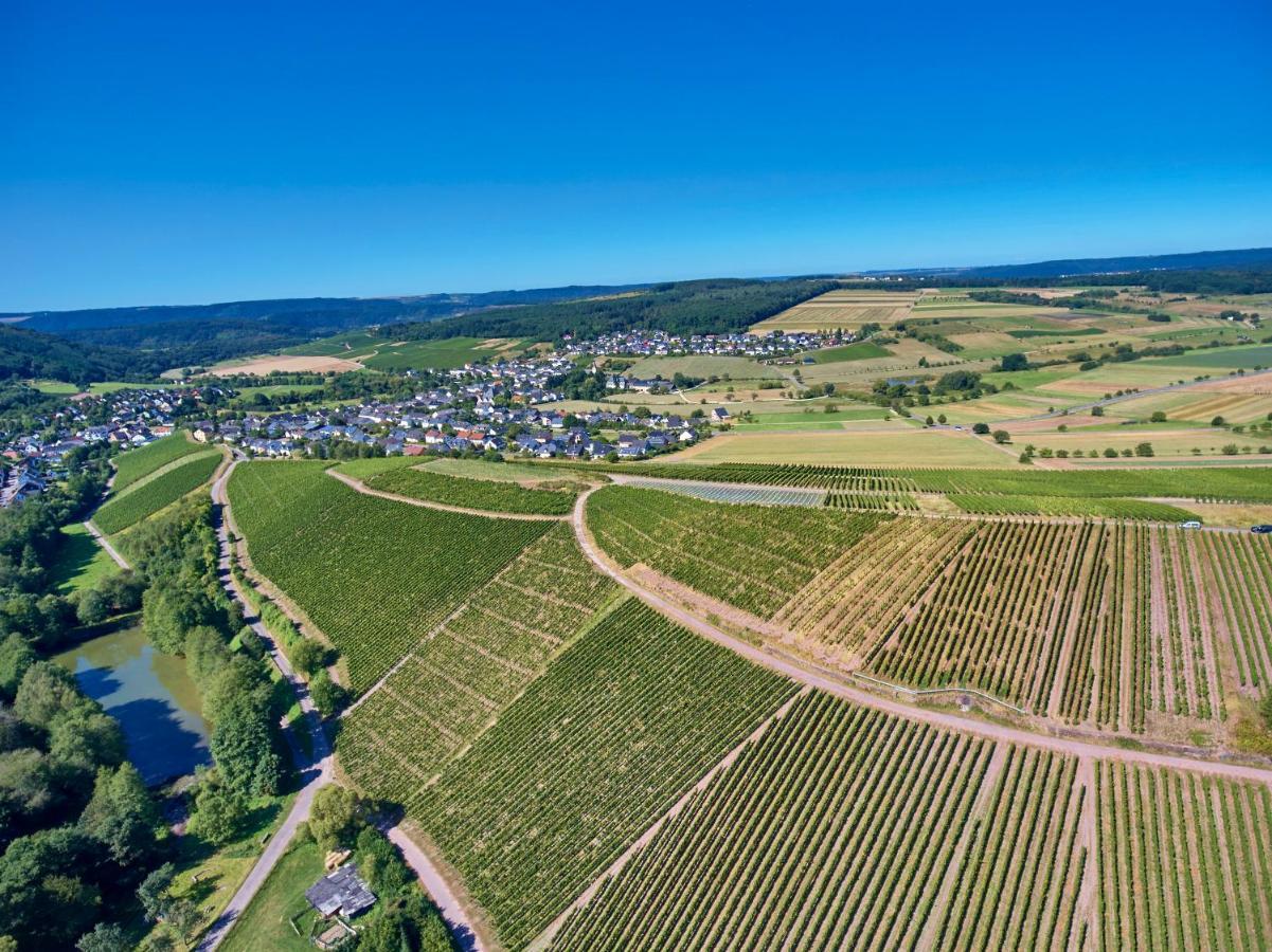 Ferienweingut Willems Oberemmel Dış mekan fotoğraf