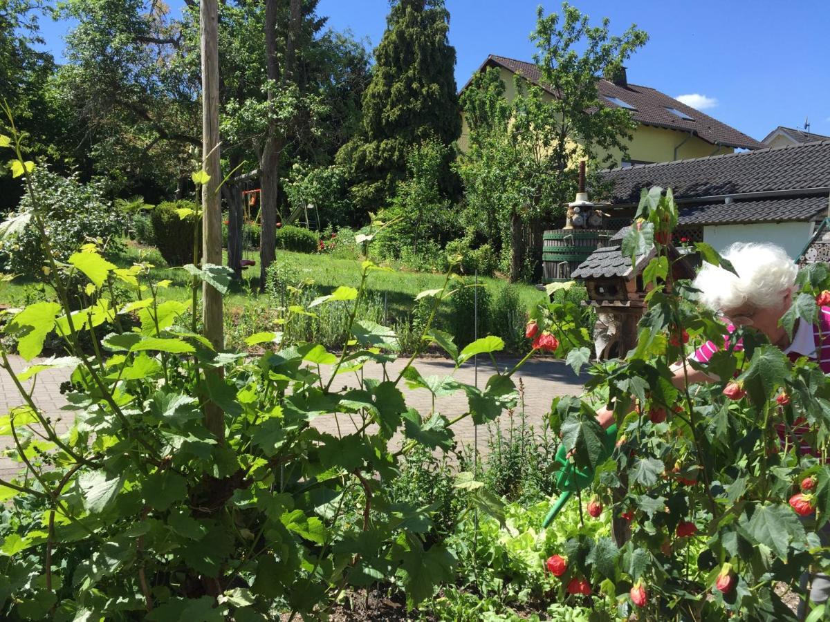 Ferienweingut Willems Oberemmel Dış mekan fotoğraf