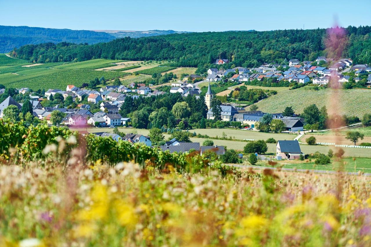 Ferienweingut Willems Oberemmel Dış mekan fotoğraf