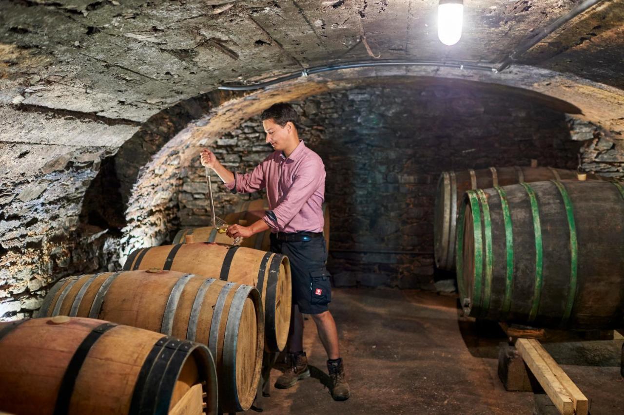 Ferienweingut Willems Oberemmel Dış mekan fotoğraf